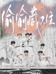 菠萝导航网页版